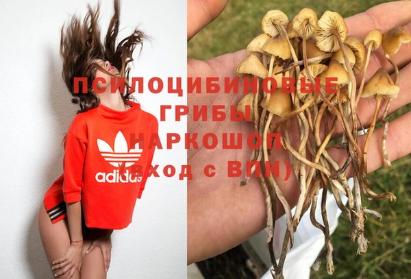 гашишное масло Елизово