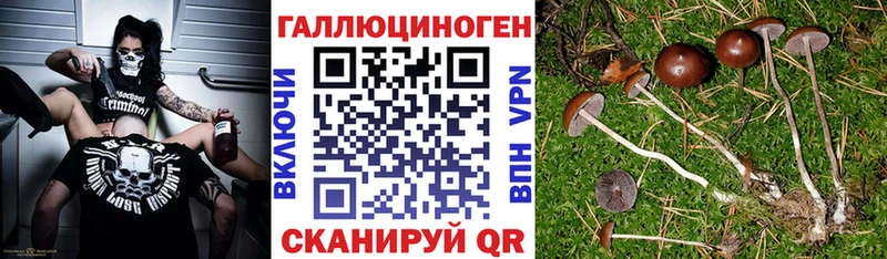 Галлюциногенные грибы прущие грибы  Купить закладки  Сосновый Бор 